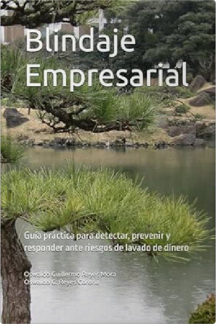 Portada Blindaje Empresarial